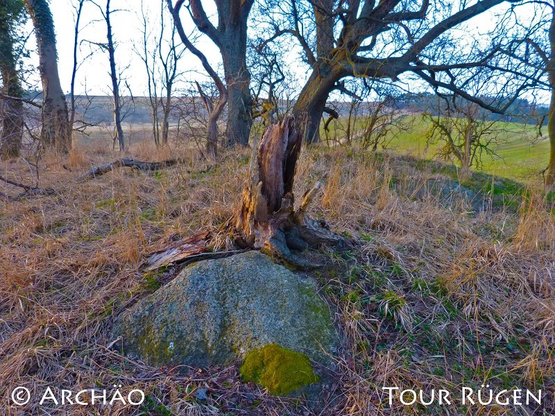 de megalithische graftombe midden op een met bomen begroeide heuvel // © Archäo Tour Rügen de megalithische graftombe midden op een met bomen begroeide heuvel // © Archäo Tour Rügen