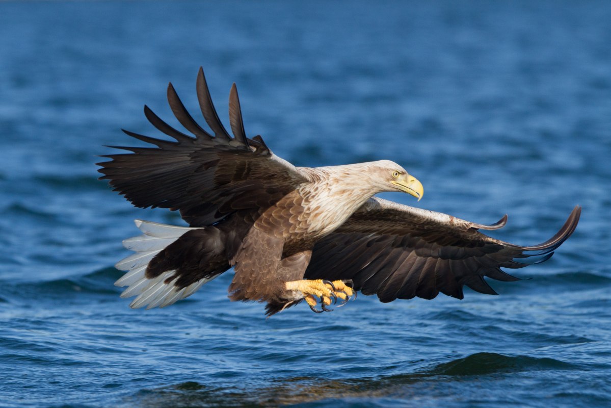 &copy; Klemens Karkow