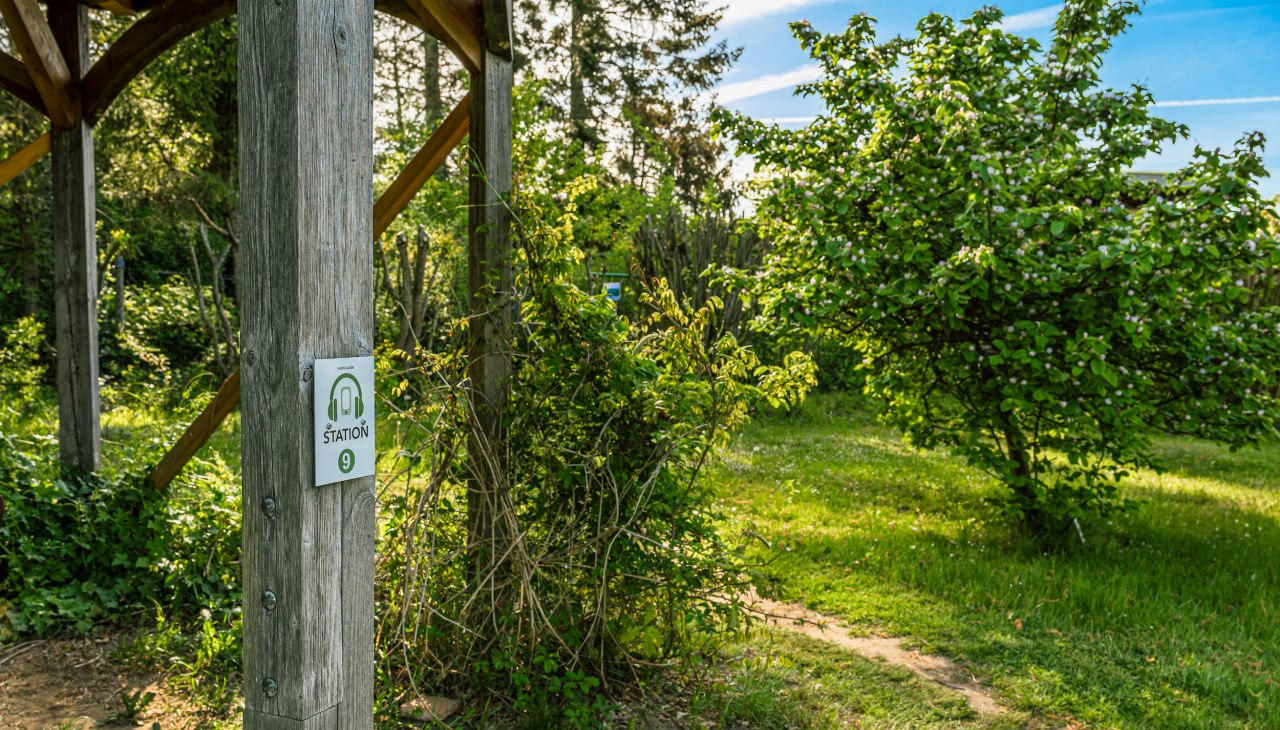 Wangeliner Garten - Einblicke, © TMV/Tiemann Wangeliner Garten - Einblicke, © TMV/Tiemann