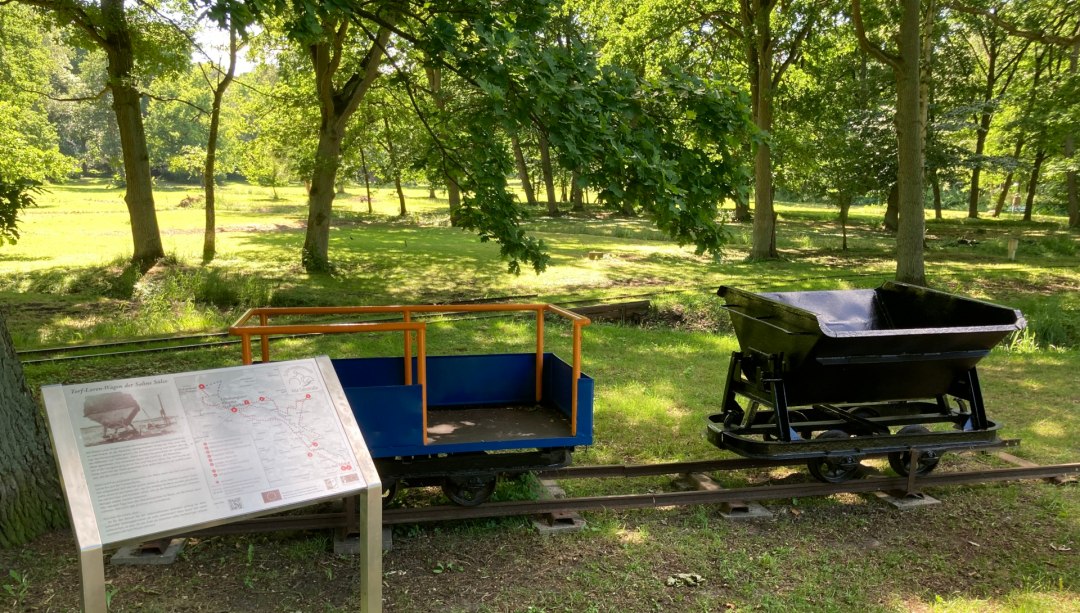 Torflore in Bad Sülze, © M. Hagemann Torflore in Bad Sülze, © M. Hagemann