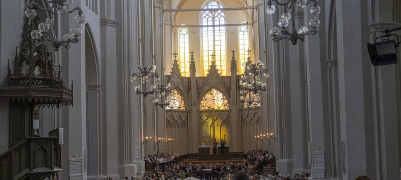 &copy; Geert Maciejewski