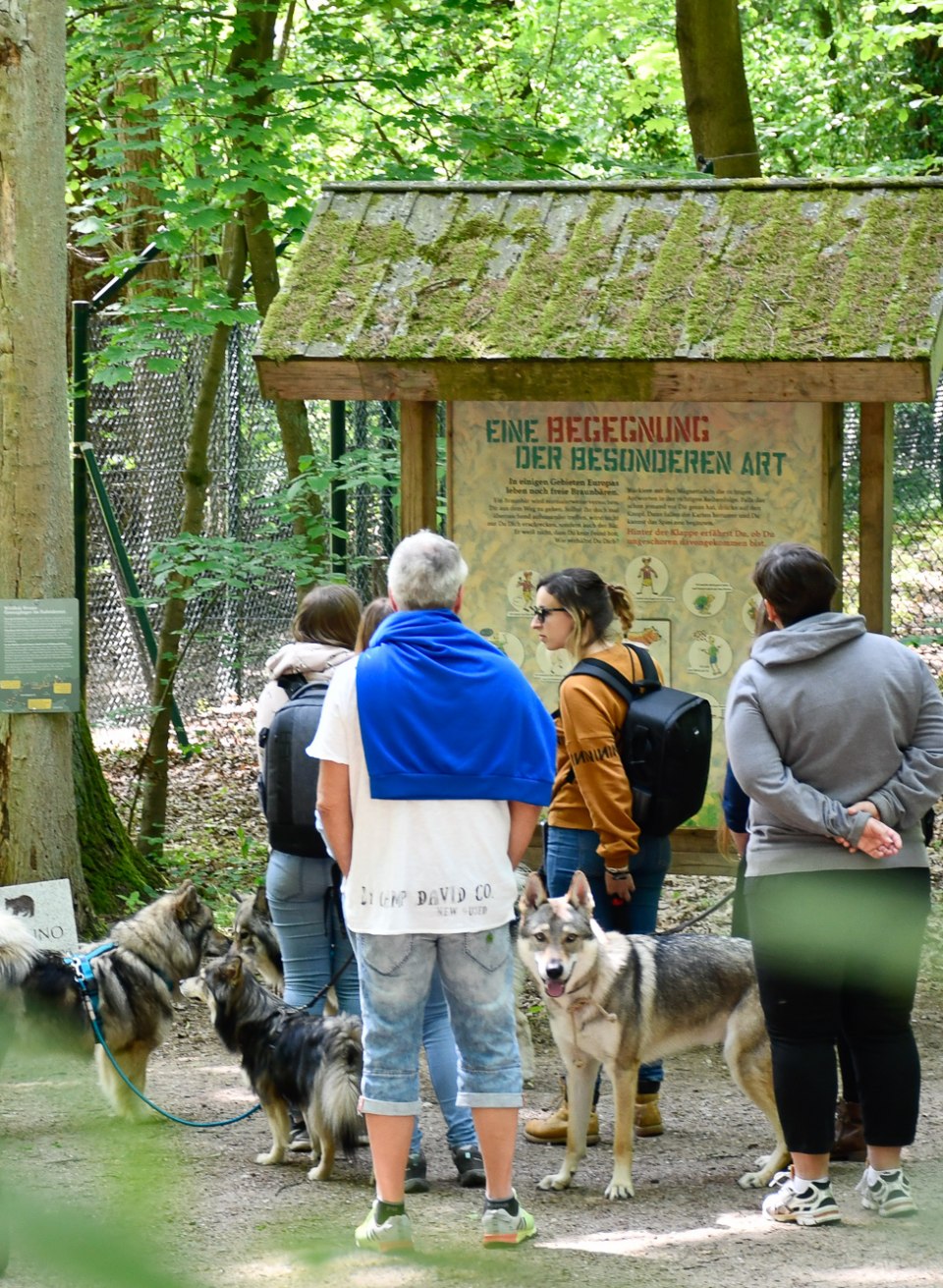 Personen stehen im Bärenwald Müritz vor einer Erklärtafel mit ihren Hunden. // Im Bärenwald Müritz können Besucher bei der individuellen Tour bei der Fütterung der Bären dabei sein. // © Bärenwald Müritz Personen stehen im Bärenwald Müritz vor einer Erklärtafel mit ihren Hunden.