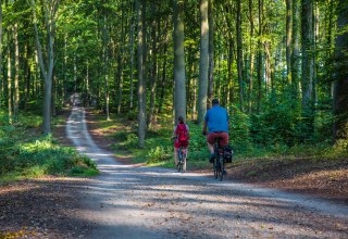 &copy; insel-fotograf.eu, Andreas Dumke