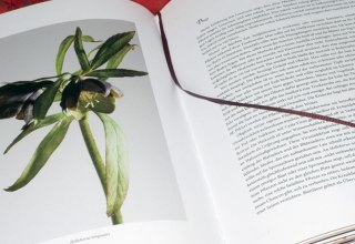 &copy; Christine Becker