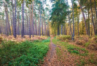 &copy; insel-fotograf.eu, Andreas Dumke