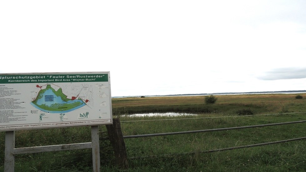 Informationstafel im Naturschutzgebiet "Fauler See" // © Kurverwaltung Insel Poel Informationstafel im Naturschutzgebiet "Fauler See" // © Kurverwaltung Insel Poel