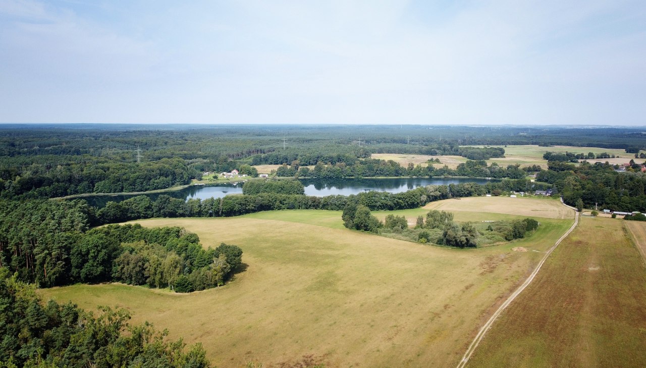 Klimawald Neustrelitz Umgebung, © Landesforst MV Klimawald Neustrelitz Umgebung, © Landesforst MV