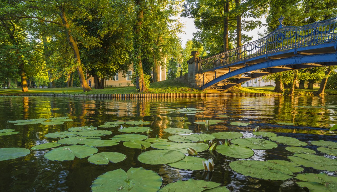 Im Schlosspark Mirow, © SSGK M-V / Timm Allrich Im Schlosspark Mirow, © SSGK M-V / Timm Allrich