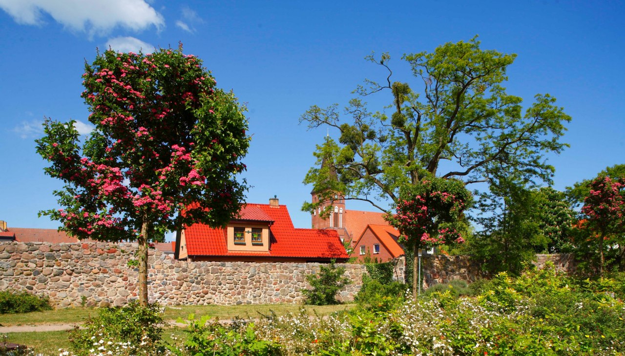 Stadtmauer in Pasewalk, © Torsten Krüger Stadtmauer in Pasewalk, © Torsten Krüger