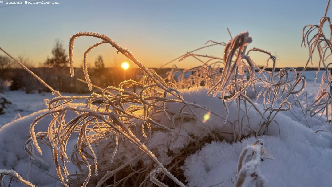 Paul Blei vom F&ouml;rderverein wird mit Ihnen Spuren im Schnee (sofern vorhanden) suchen, Knospen und Zweige im Winterzustand bestimmen und die &Uuml;berwinterungsstrategien der Insekten erl&auml;utern. Wer also Lust hat, seinen Kreislauf nach dem Winter wieder in Schwung zu bringen und frische Luft zu atmen, ist herzlichst bei dieser Wanderung rund um Burg Schlitz eingeladen., &copy; Marin-Ziegler