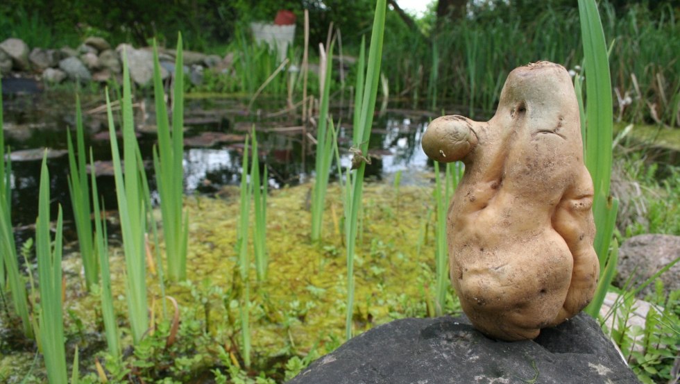 &copy; Elena Kolcova