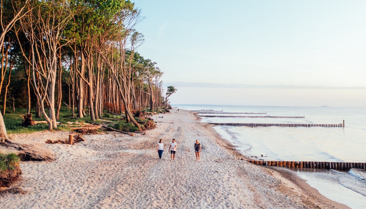 Strandidylle in der Rostocker Heide, © TMV/Gänsicke Strandidylle in der Rostocker Heide, © TMV/Gänsicke