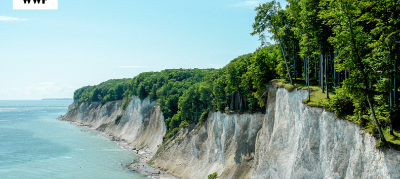 &copy; Nationalpark-Zentrum K&ouml;nigsstuhl