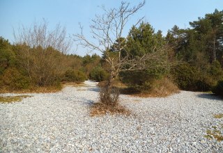 Feuersteinfelder in Prora, &copy; Tourismuszentrale R&uuml;gen