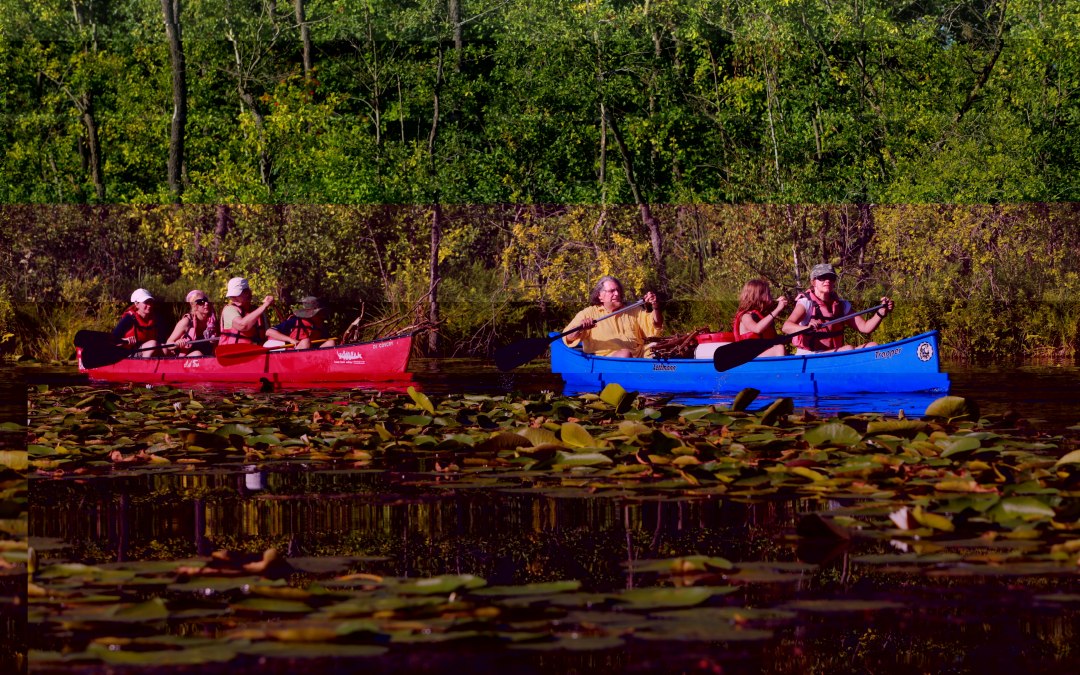 © SeenLandAgentour GmbH © SeenLandAgentour GmbH