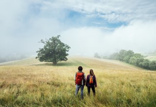 Wandern auf dem Naturparkweg durch die Landschaft der Mecklenburgischen Seenplatte beim Rötelberg // © MV-T/Gänsicke Wandern auf dem Naturparkweg durch die Landschaft der Mecklenburgischen Seenplatte beim Rötelberg // © MV-T/Gänsicke