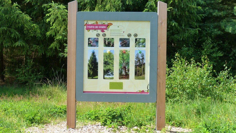 Hier erfahren Sie viel Wissenswertes über den Wald und seine Umgebung. // © Ummanz-Information/Bordych Hier erfahren Sie viel Wissenswertes über den Wald und seine Umgebung. // © Ummanz-Information/Bordych