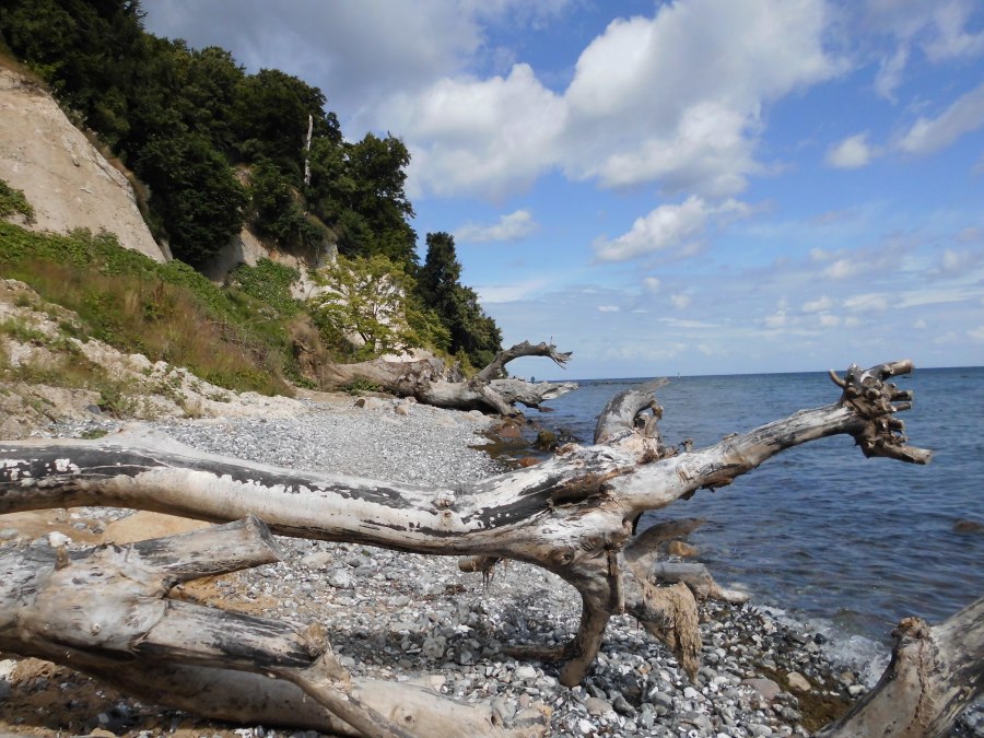 Steilküste vor Sassnitz, © C.Rühle