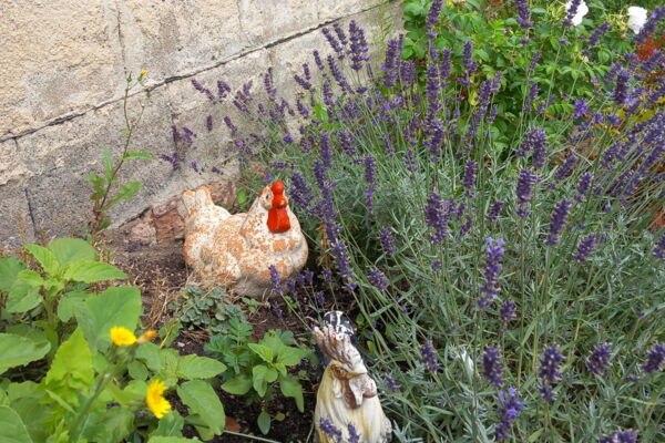 &copy; Rundbus Plauer See