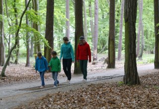 Ohne Schuhe geht's auf dem Barfußpfad über verschiedene Naturmaterialien wie Holz, Steine und Tannenzapfen. // © MV-T/outdoor-visions.com Ohne Schuhe geht's auf dem Barfußpfad über verschiedene Naturmaterialien wie Holz, Steine und Tannenzapfen. // © MV-T/outdoor-visions.com