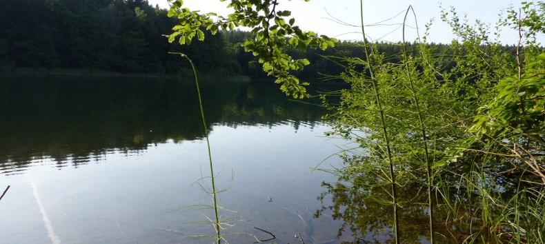 &copy; Bianca Schubert