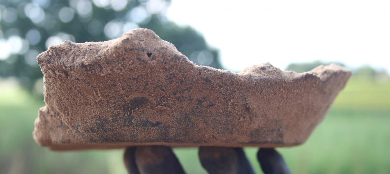 &copy; Dr. Martin Wagner