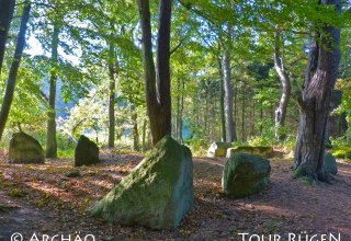 Am Küstenweg zwischen Lancken-Granitz und Stresow liegen die "Ziegensteine" im Schatten hoher Laubbäume. // © Archäo Tour Rügen Am Küstenweg zwischen Lancken-Granitz und Stresow liegen die "Ziegensteine" im Schatten hoher Laubbäume. // © Archäo Tour Rügen