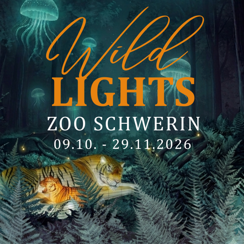 Wild Lights Zoo Schwerin // &copy; Zoo Schwerin