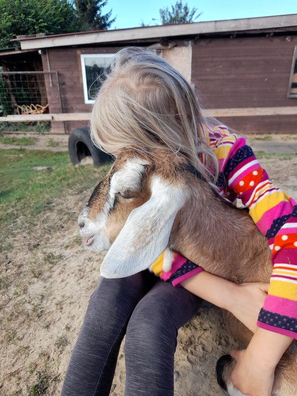 &copy; Andrea Hauser