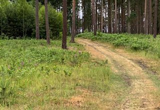 © Touristinformationen Wesenberg & Mirow, Mecklenburgische Kleinseenplatte