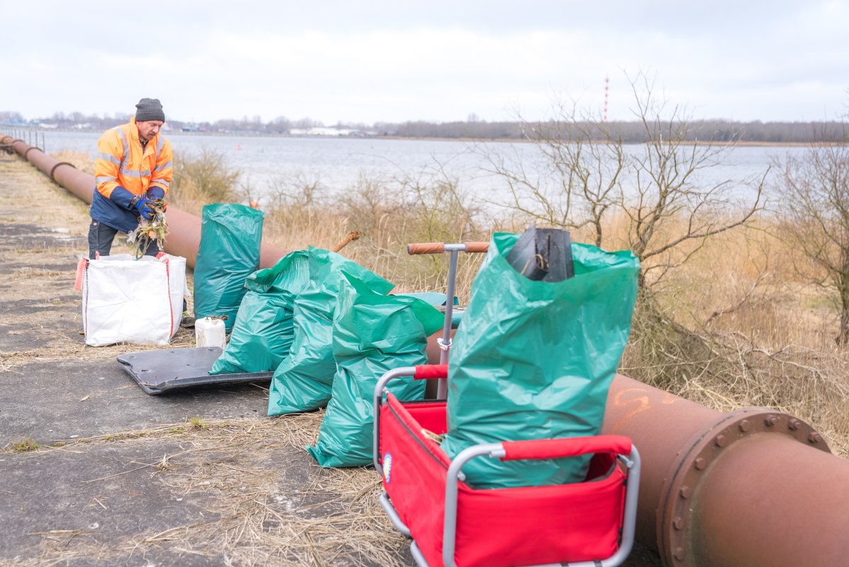Gesammelter M&uuml;ll, &copy; Rostock M&uuml;llfrei e.V.