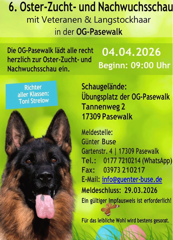 Hundeschau // &copy; G&uuml;nter Buse