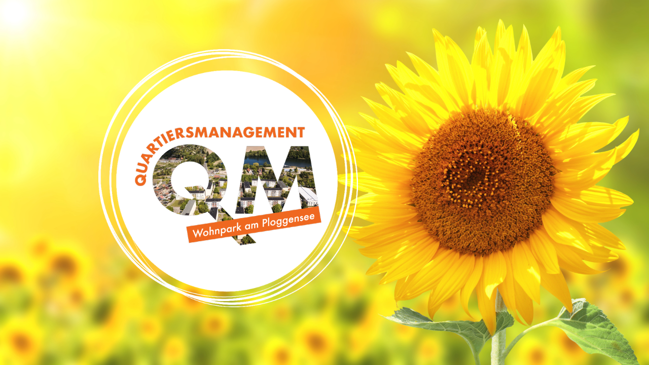 Sonnenblume // &copy; QM