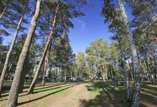 Waldstück, © TMV/Gohlke Waldstück, © TMV/Gohlke