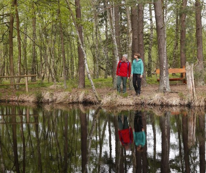 Wanderer am Moorsee im Gro&szlig;en Ribnitzer Moor, &copy; TMV/outdoor-visions.com