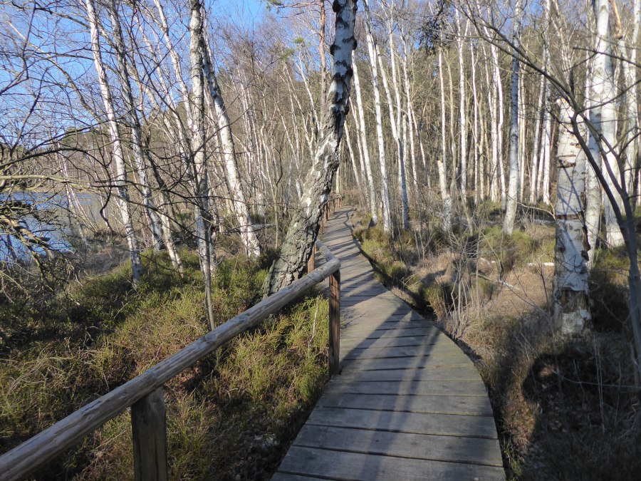 Moorsteg an den Wienpietschseen, © Wiebke Döbbert Moorsteg an den Wienpietschseen, © Wiebke Döbbert