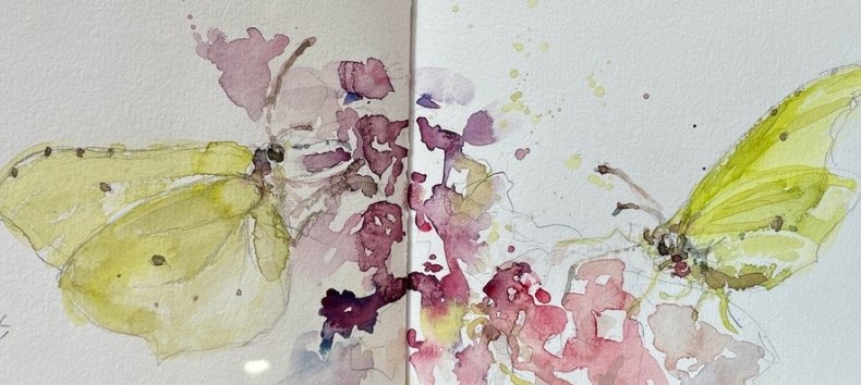Bloemen en vlinders // © Daniela F. Lüers Bloemen en vlinders // © Daniela F. Lüers