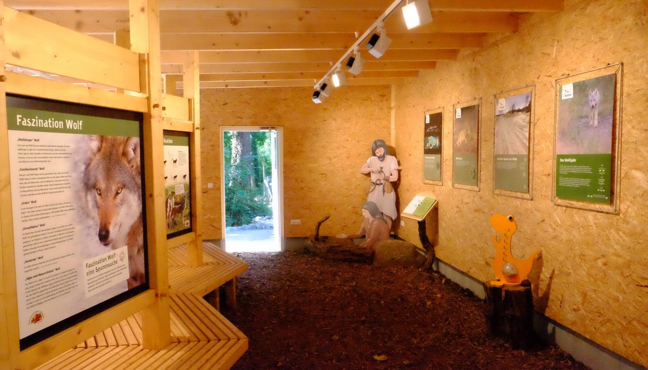 Im Infohaus gibt es alles Wissenswerte zu den Themen "Wiederkehrer" und "Neub&uuml;rger" mit dem Schwerpunkt Wolf., &copy; Tierpark Wolgast
