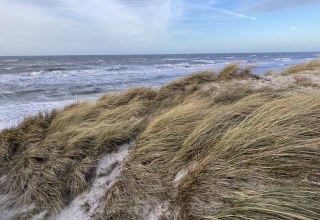 &copy; Nationalparkamt Vorpommern