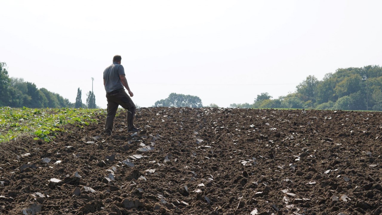 Akkerbouw als onderdeel van de circulaire economie // &copy; A. Rossnagel