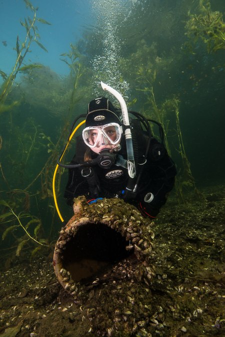 Schmaler Luzin 2014 393, © Tauchcenter Feldberg