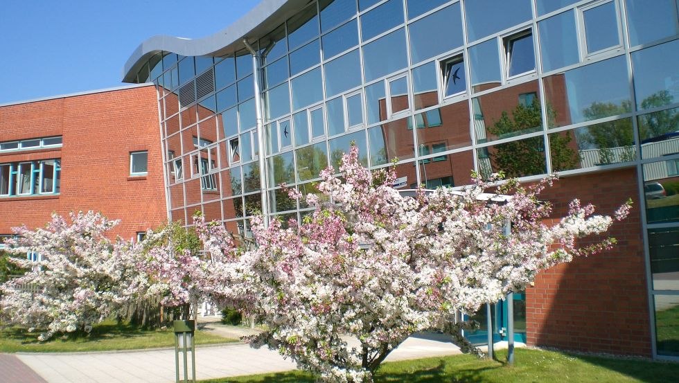 Bildungs- und Konferenzzentrum Warnemünde, © Bildungs- und Konferenzzentrum Warnemünde Bildungs- und Konferenzzentrum Warnemünde, © Bildungs- und Konferenzzentrum Warnemünde