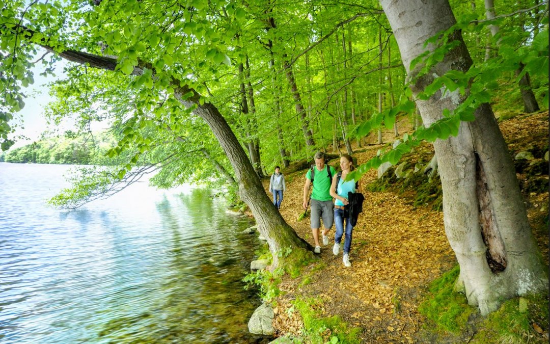 Smalle Luzin wandelroute, © TMV/Foto@Andreas-Duerst.de Smalle Luzin wandelroute, © TMV/Foto@Andreas-Duerst.de