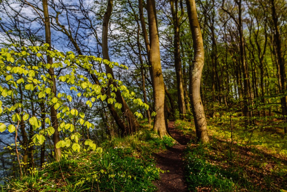 &copy; Binzer Bucht Tourismus | Christian Thiele