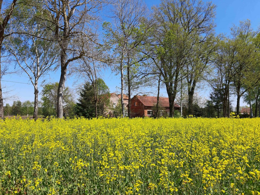 LüttenHof-Retreat // © Tanja von Heintze LüttenHof-Retreat // © Tanja von Heintze