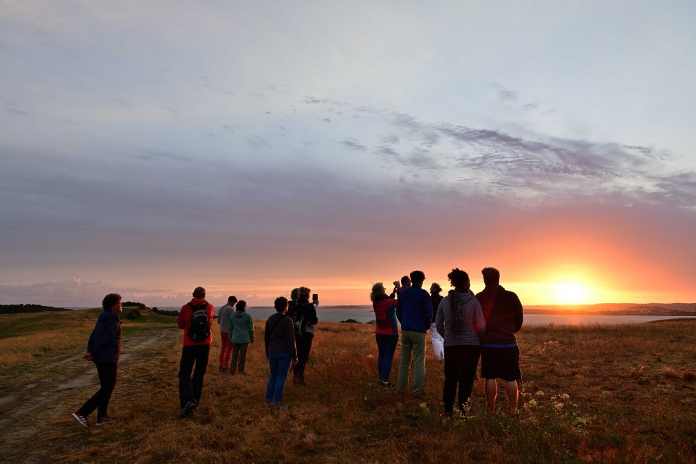 Abendwanderung Zicker Berge Foto Rene Geyer_02, &copy; Geyer