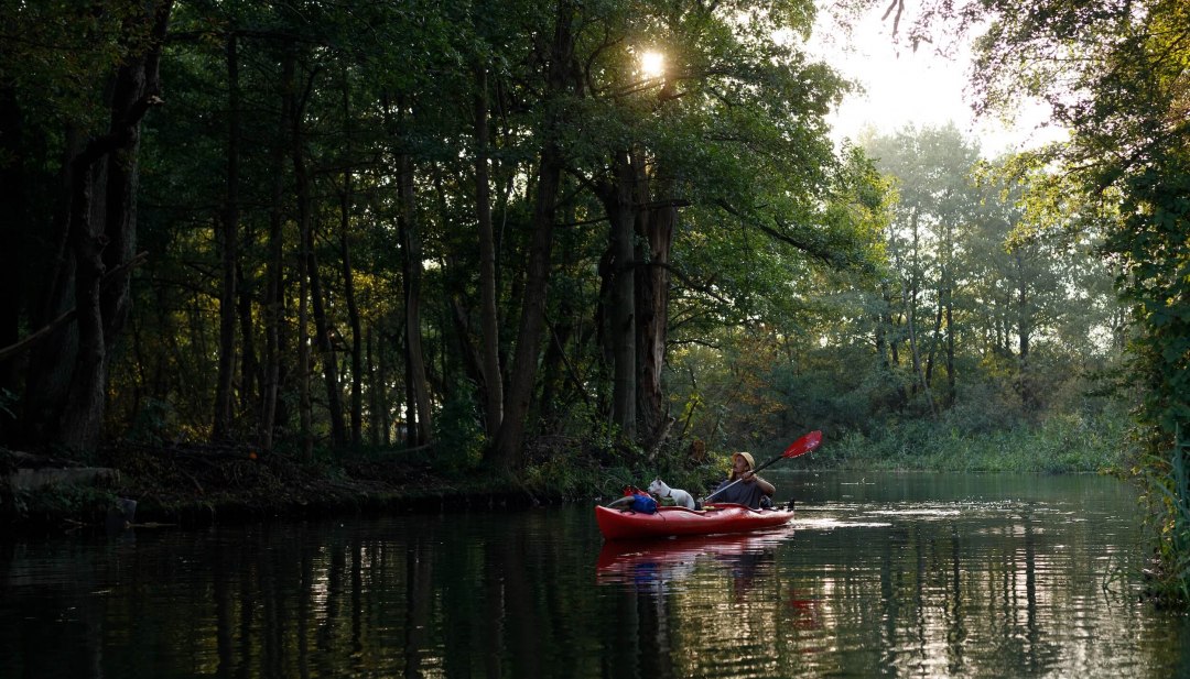 Person paddelt mit einem Hund im Kajak &uuml;ber einen ruhigen Flussarm der Havel im Morgenlicht, umgeben von dichtem Wald.