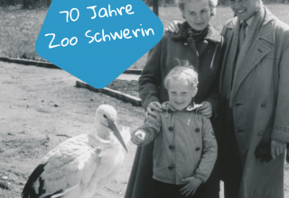 70 Jahre Zoo Schwerin, &copy; Zoo Schwerin