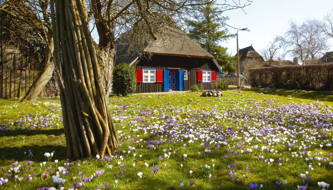 Zicht op een huis met een rieten dak in het resort Born a. Dar&szlig;., &copy; TMV/Grundner