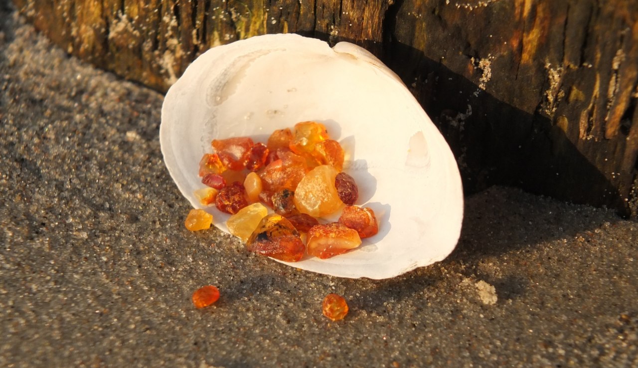 Kleine barnsteenvondsten verrukken ook het hart // &copy; Martin Hagemann